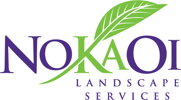 NoKaOi - A Sperber Companies
