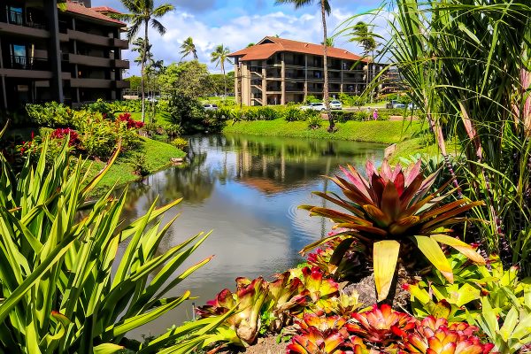 Sheraton Kauai Resort No Ka Oi