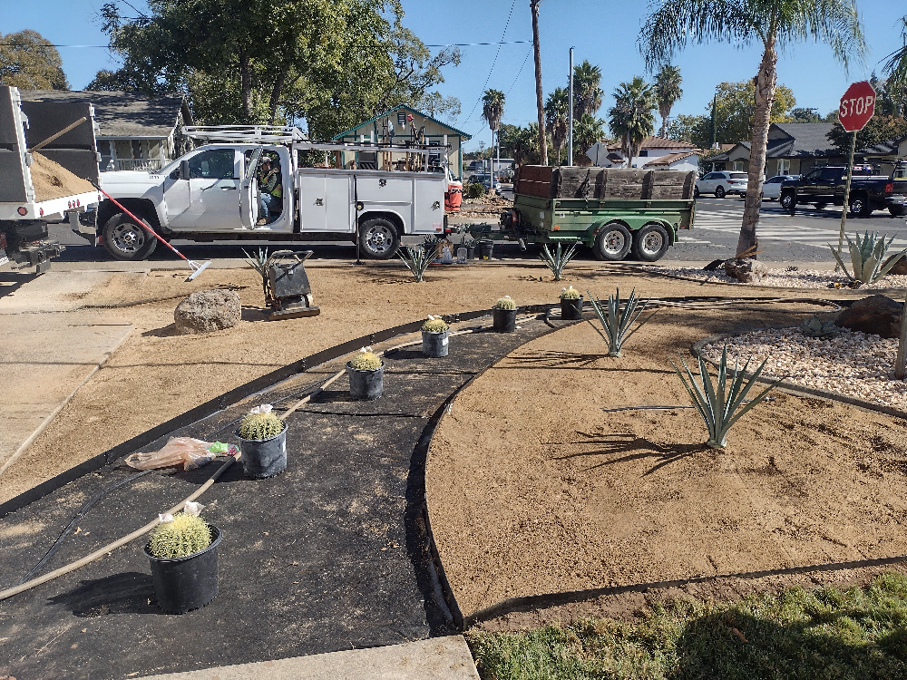 Turf Renovation - Cagwin & Dorward - Sperber