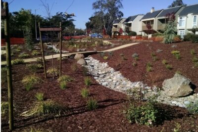 Water Restrictions Are Changing the Game—How Turf Conversions Keep Your Properties Compliant - Sperber Companies